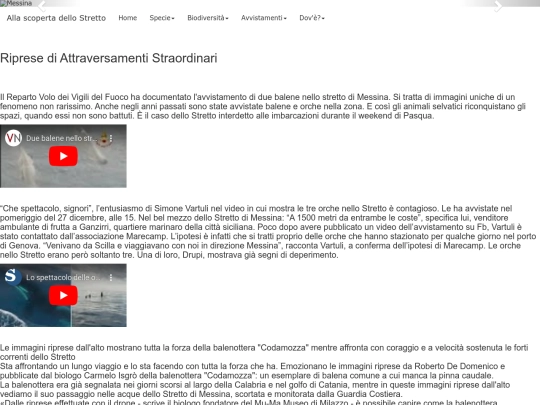 video screenshot