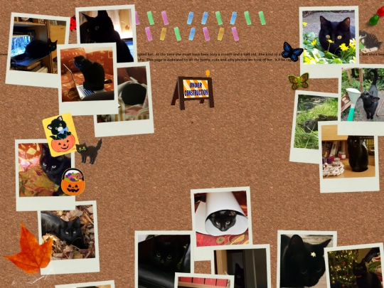 luca_photos screenshot
