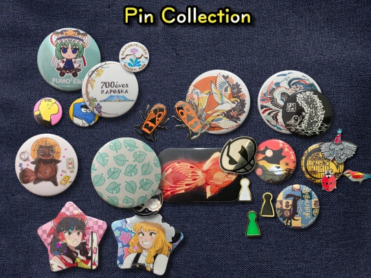 pins screenshot