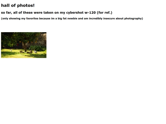 photosarchive screenshot