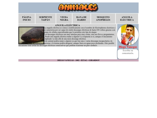 anguila screenshot