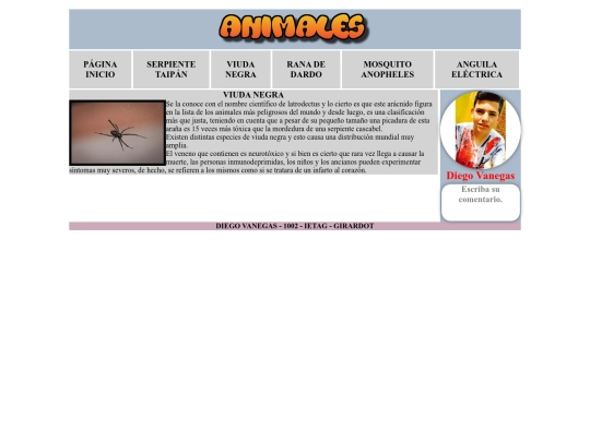 araña screenshot
