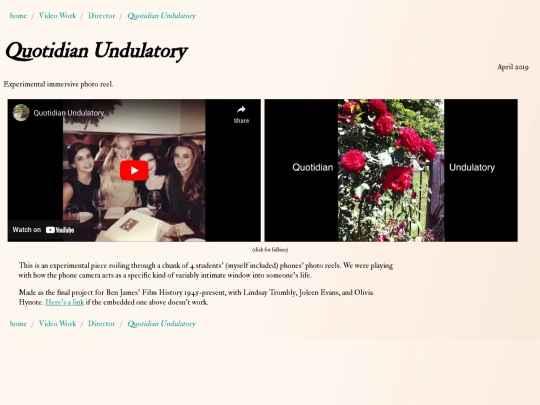 Video Work/Director/quotidian screenshot