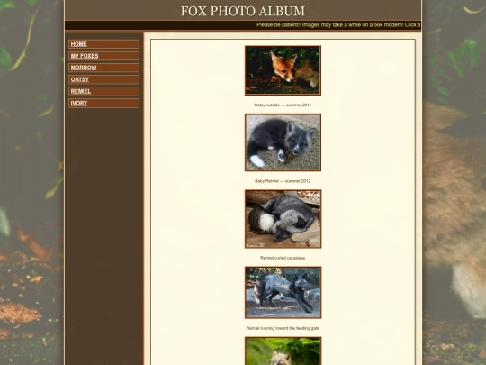photos screenshot