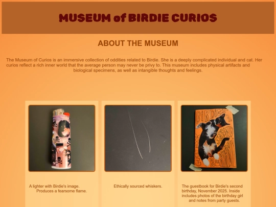 museum screenshot