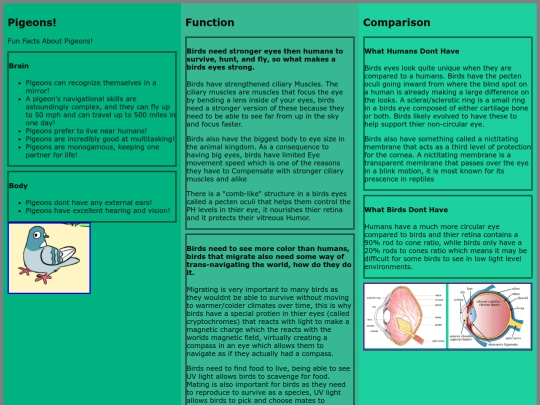 SCHOOL :D/school-000/Myeyes screenshot
