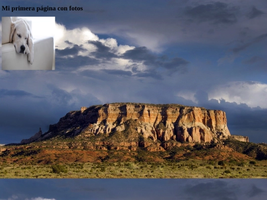 paginasconfotos screenshot