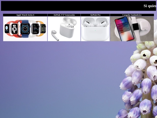 proyecto/accesorios screenshot