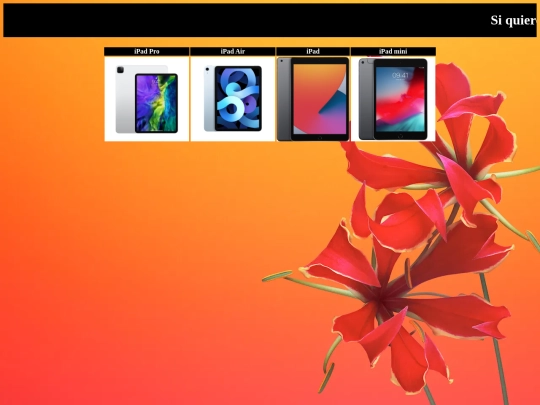 proyecto/ipad screenshot