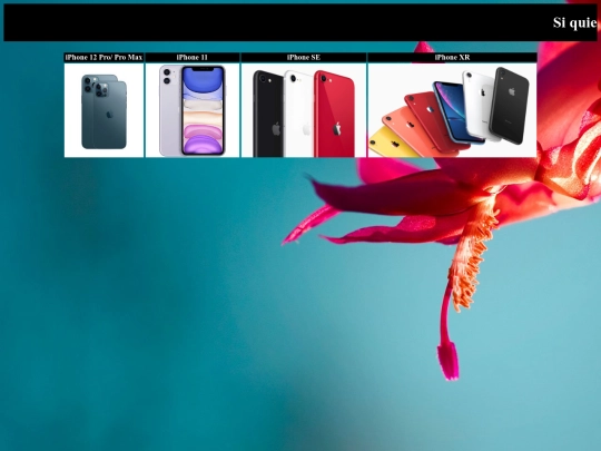 proyecto/iphone screenshot