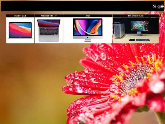 proyecto/mac screenshot