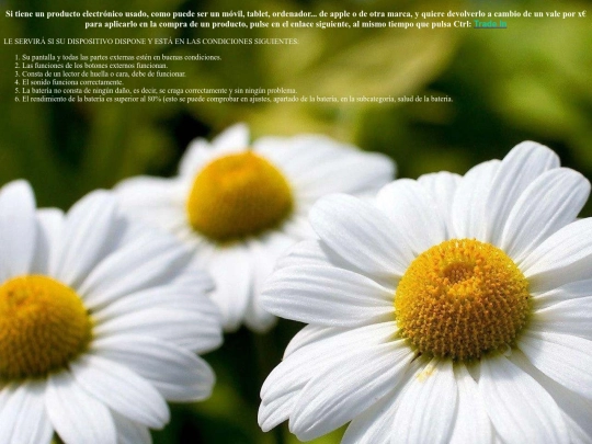 proyecto/tradein screenshot
