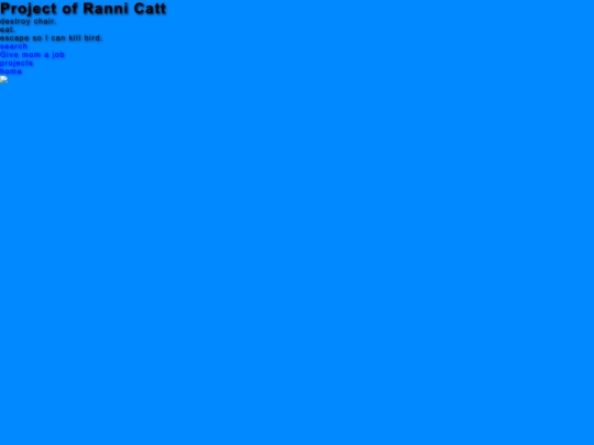projects screenshot