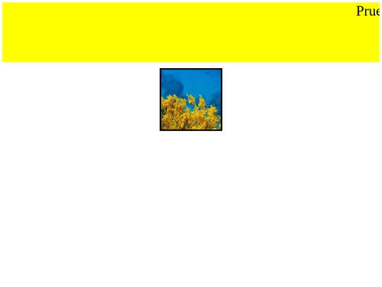 Prueba/Pr screenshot
