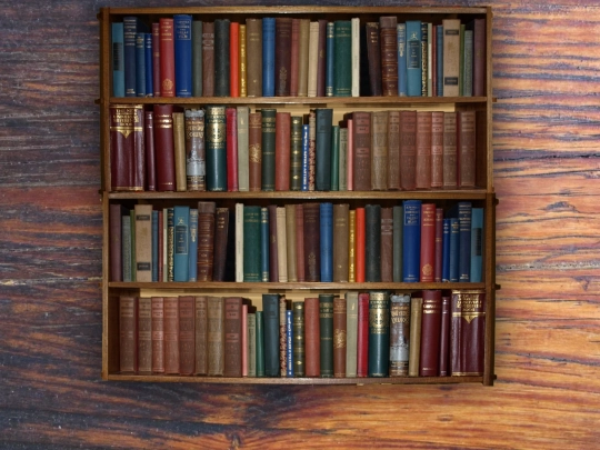 bookshelf screenshot