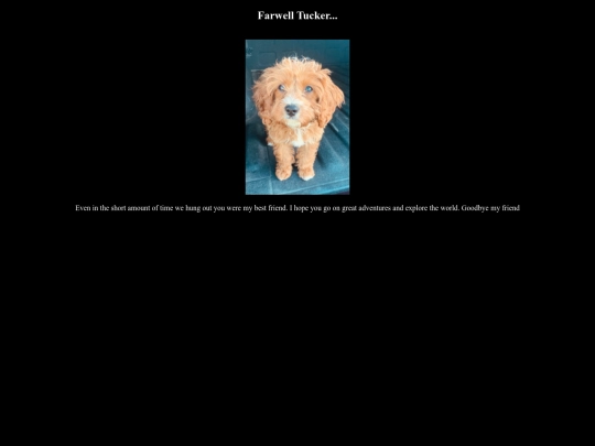 tucker screenshot