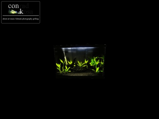 fishtank screenshot