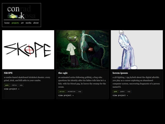 projects screenshot