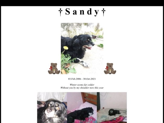 shrine/sandy screenshot