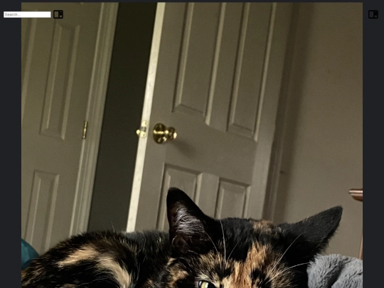 blog-posts/attachments/pretty_girl screenshot