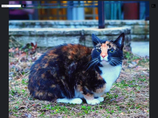 blog-posts/attachments/pretty_girl2 screenshot