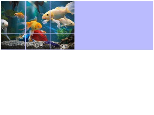 fish_puzzle/fish_puzzle screenshot