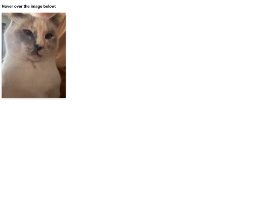 business-card screenshot