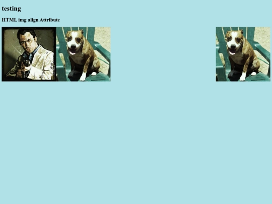 testing screenshot