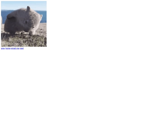 posts/wombat screenshot