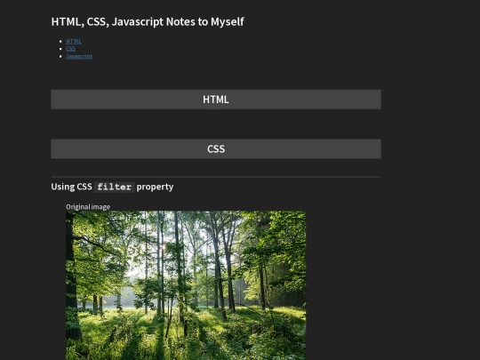 design/html-css-js-notes screenshot