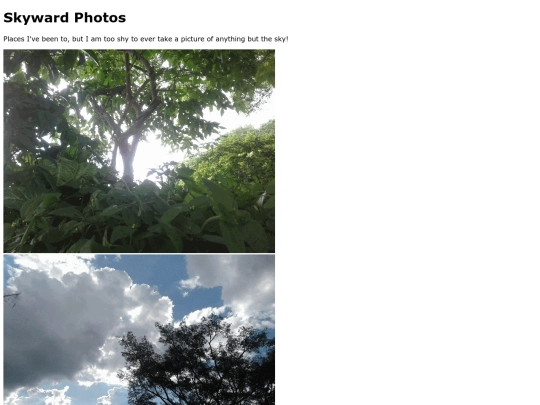 photos screenshot