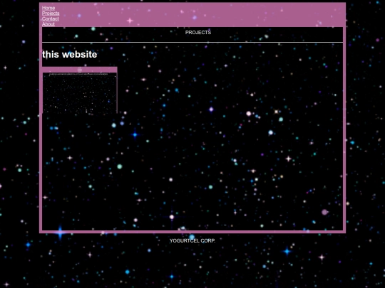 projects screenshot