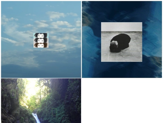 media screenshot