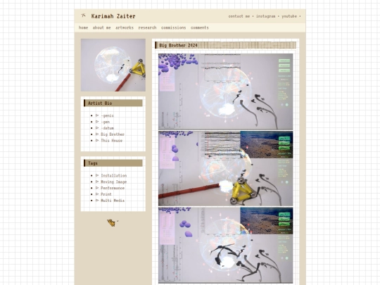 website/bigbrother screenshot