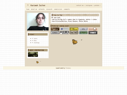 website/files screenshot