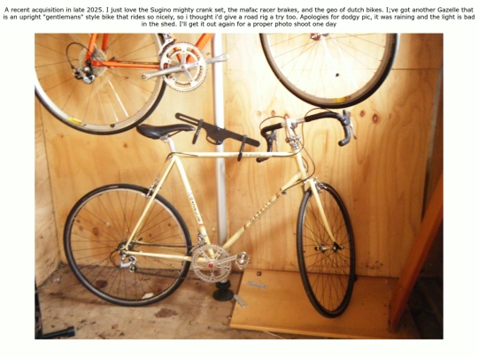 GazelleChampion screenshot