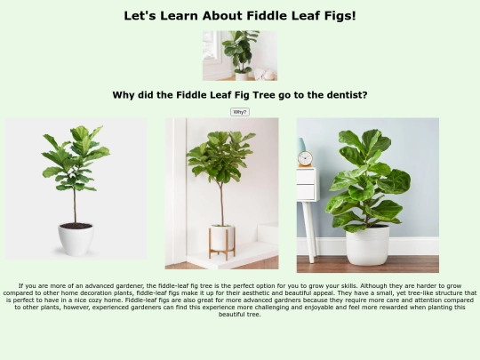FiddleLeafFig screenshot