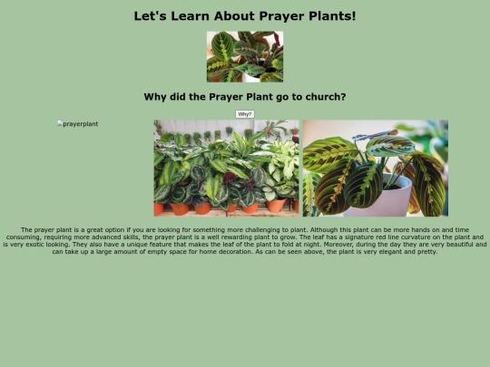 PrayerPlant screenshot