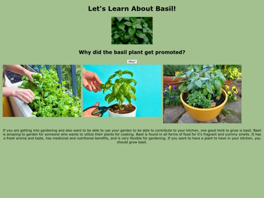 basil screenshot
