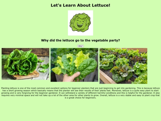 lettuce screenshot