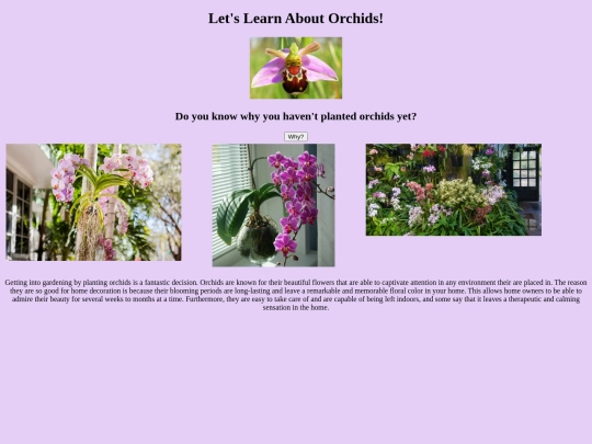 orchid screenshot