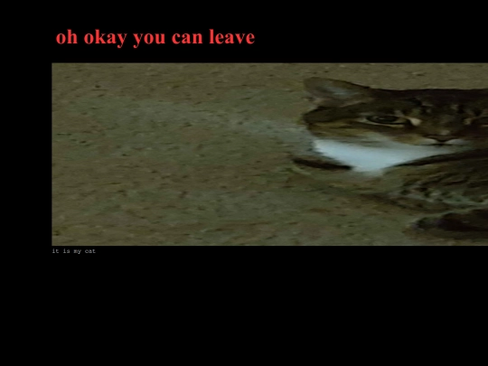dontenter screenshot