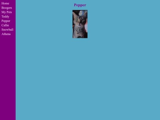 Pepper screenshot
