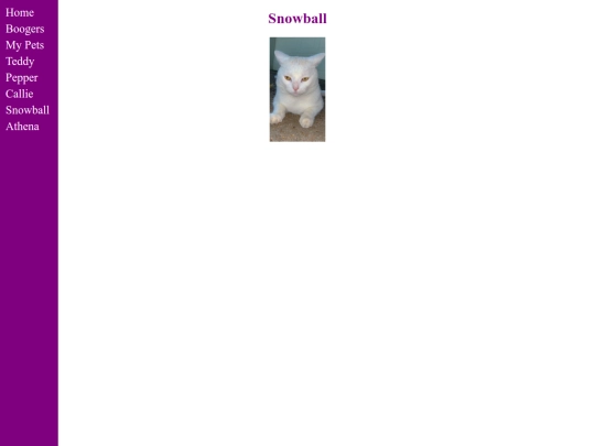 Snowball screenshot
