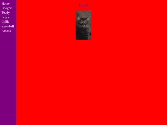 Teddy screenshot
