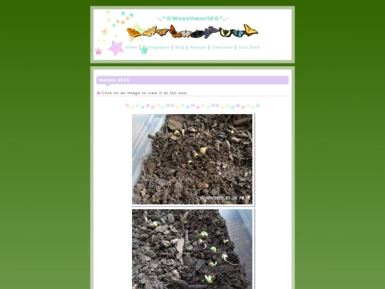 garden2025 screenshot