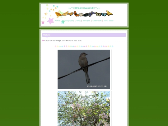 nature screenshot