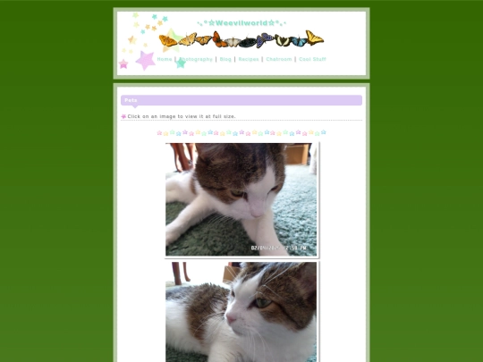 pets screenshot