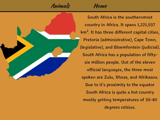 Overview screenshot