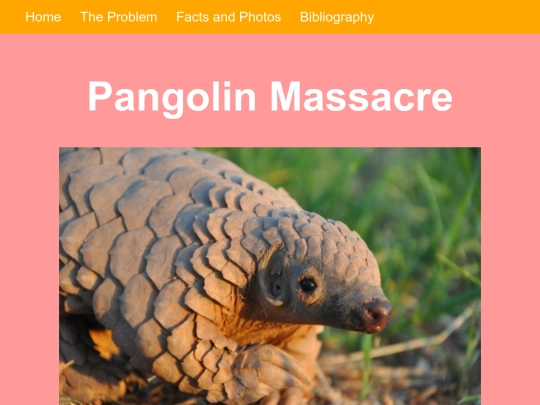 Pangolin/sandbox screenshot
